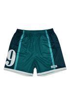 Mesh shorts 19 - nobleindeed