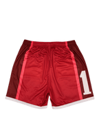 Mesh shorts 19 - nobleindeed